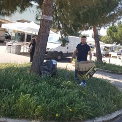 Mercato Pulito