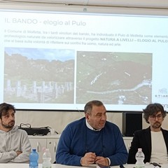 Natura a livelli