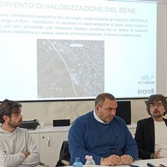 Natura a livelli