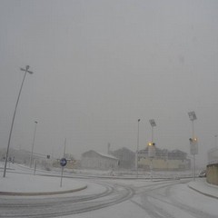 neve via bitonto