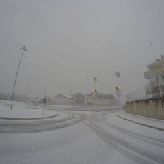 La rotatoria di via Bitonto