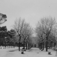 parco scuanatico neve