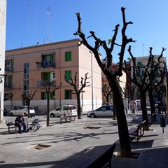 potatura