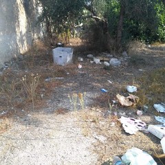 Rifiuti in zona Tourist Village