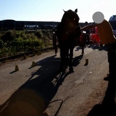 Omicidio Fiorentino, i rilievi e le indagini dei Carabinieri