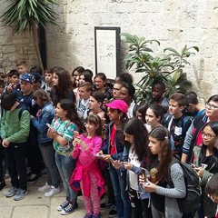turismo polifonica