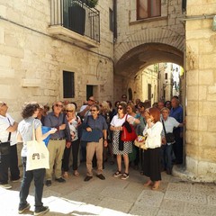 Visita guidata