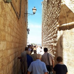 Visita guidata
