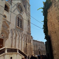 Visita guidata
