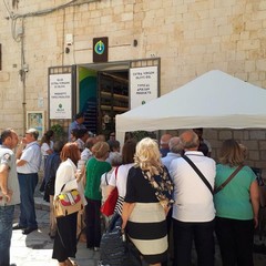Visita guidata