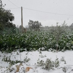 whatsapp image at j