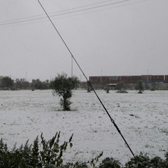 Nei pressi della ferrovia