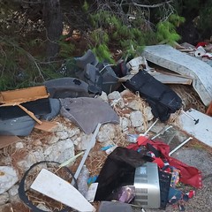 Giovinazzo, ripulita la complanare di via Molfetta