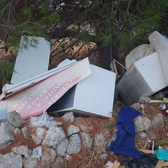Giovinazzo, ripulita la complanare di via Molfetta