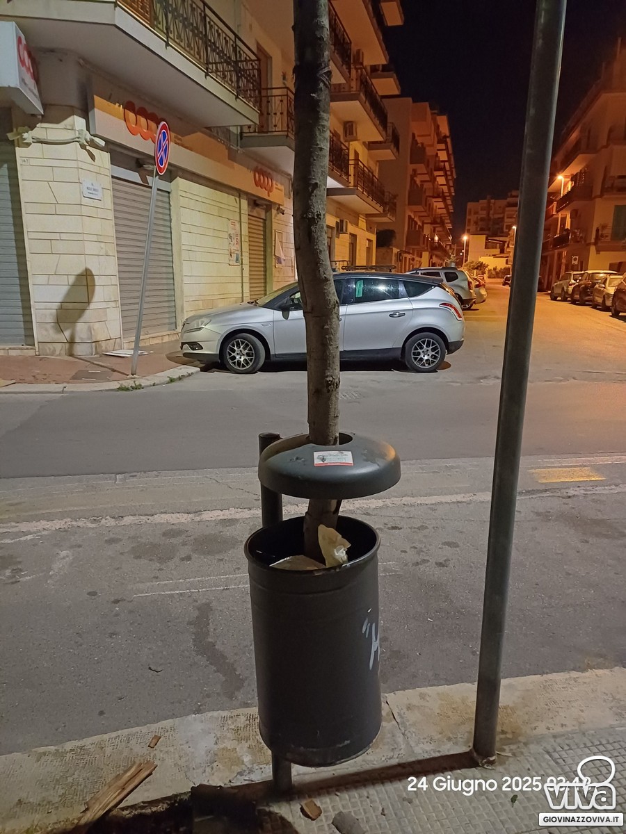 Albero vandalizzato