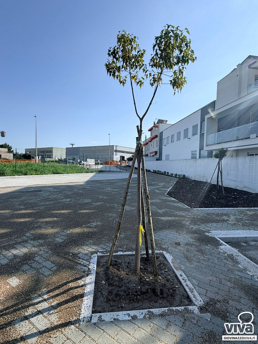 Area Giochi in via delle Filatrici