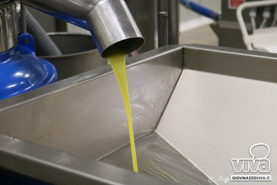 Olio EVO