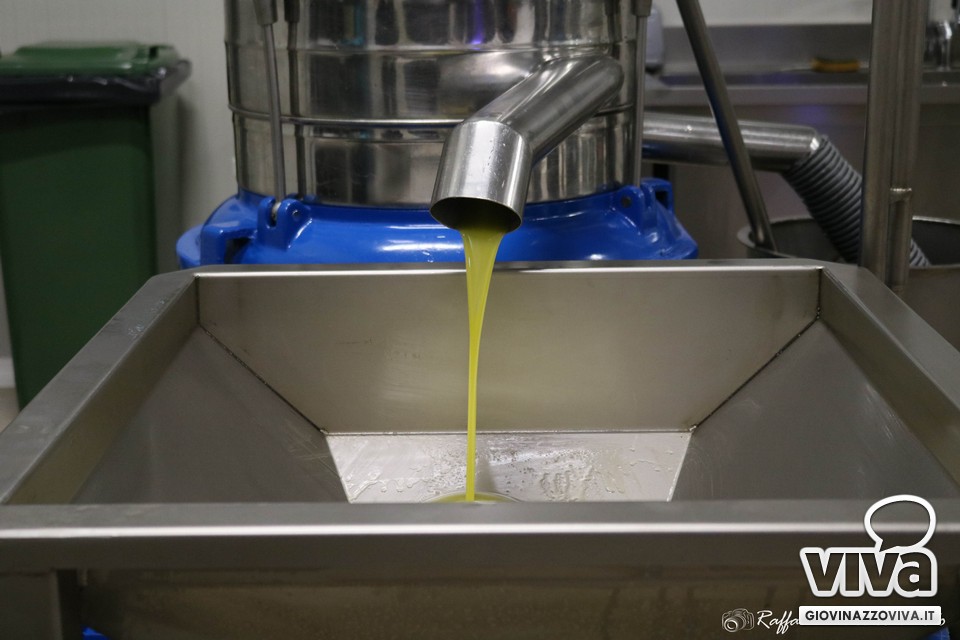 Olio EVO