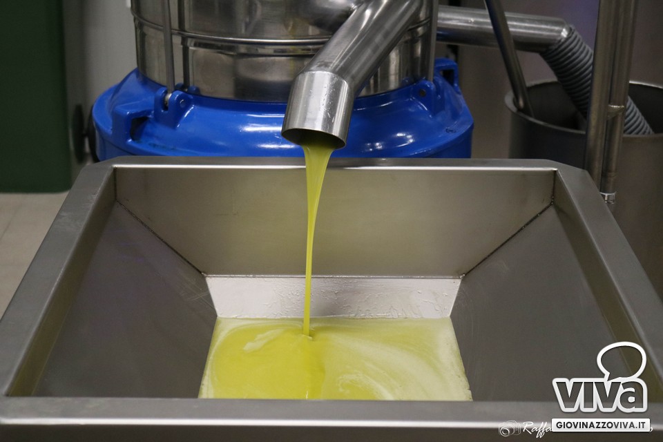 Olio EVO