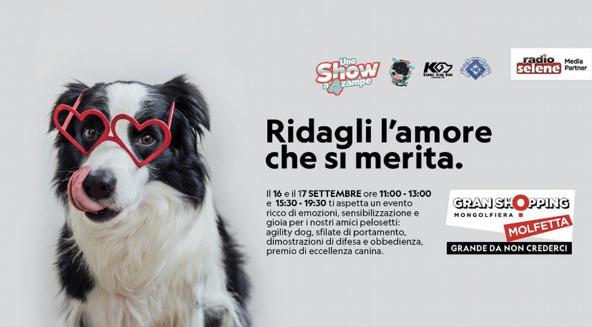 Show a zampe