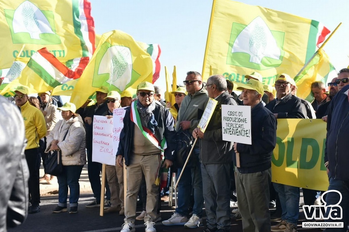 Coldiretti in piazza per l'olivicoltura