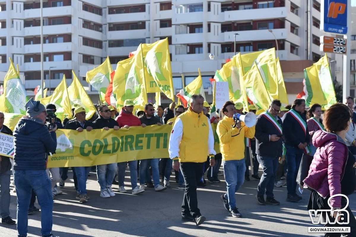 Coldiretti in piazza per l'olivicoltura