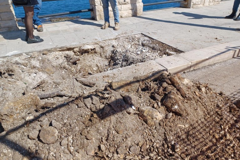 Espianto alberi lungomare Marina Italiana
