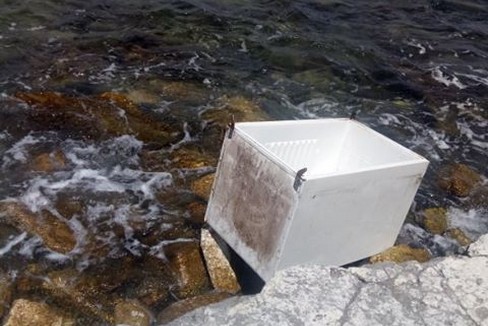Il frigorifero abbandonato