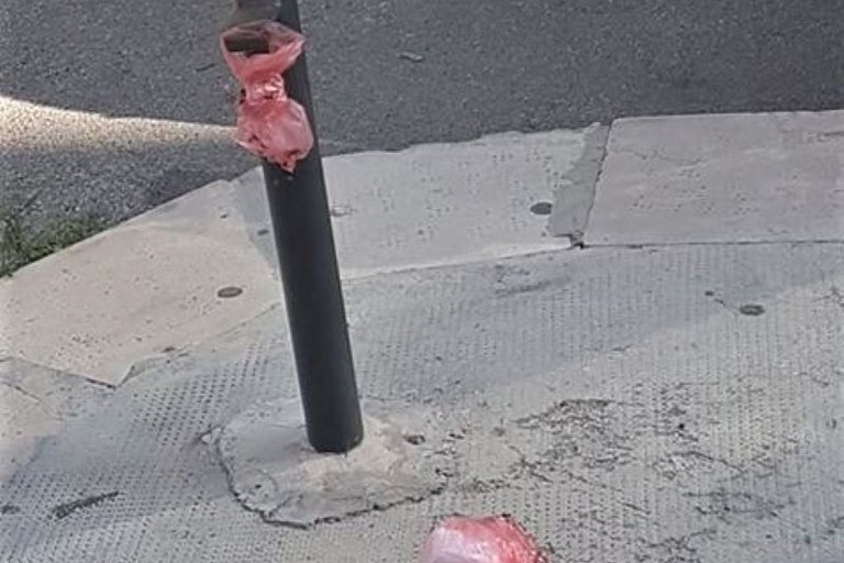 Bustine con escrementi abbandonate. <span>Foto V.B. </span>
