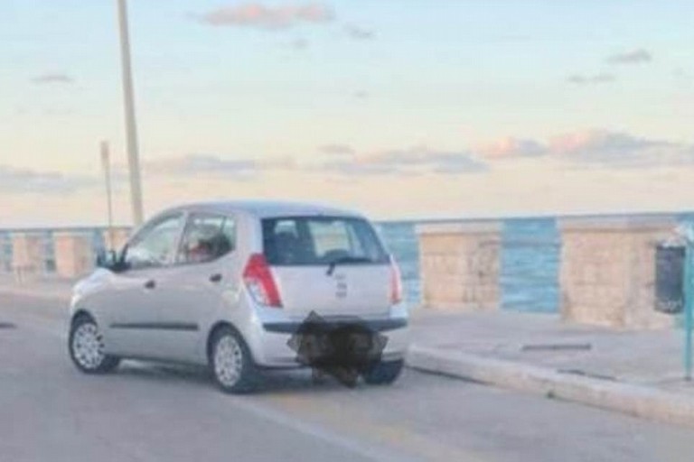 Incastrato un altro incivile