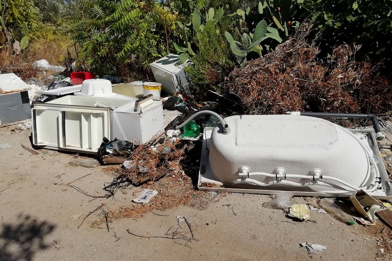 Rifiuti nei pressi della provinciale per Bitonto