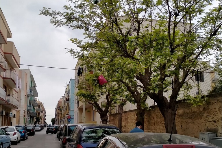 Sacchetti di spazzatura sull'albero