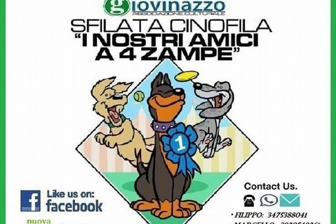 La sfilata 