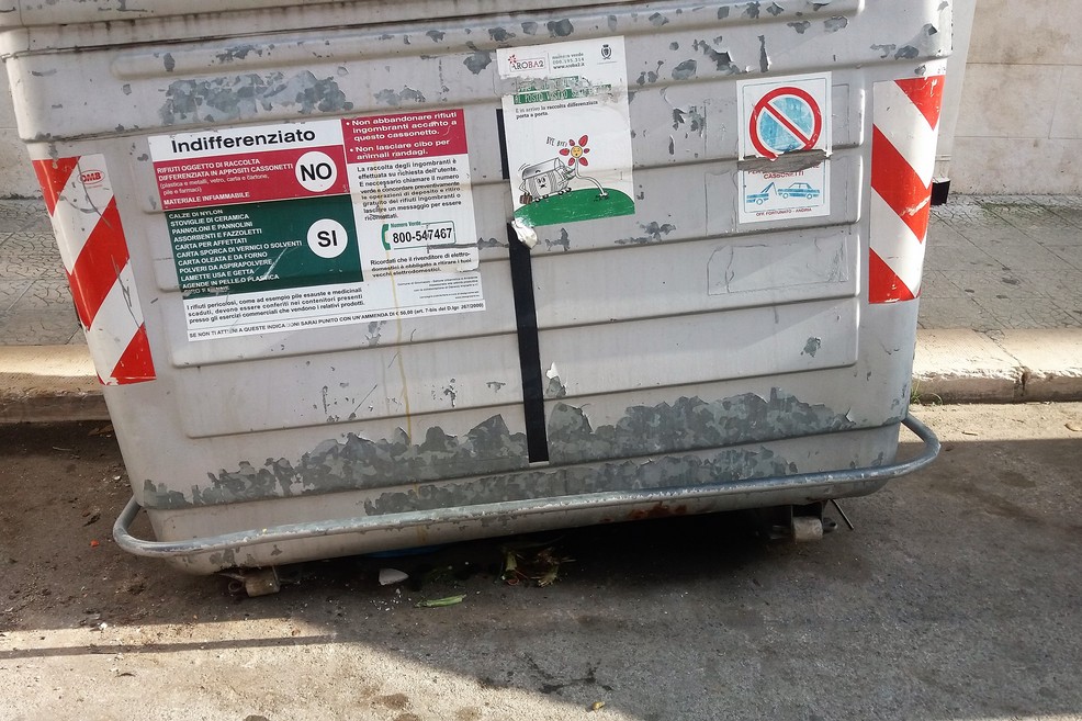 Il cassonetto