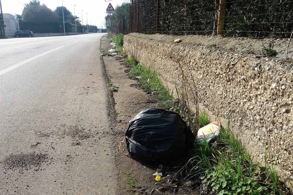 Un sacchetto sulla provinciale per Terlizzi. <span>Foto Gianluca Battista</span>