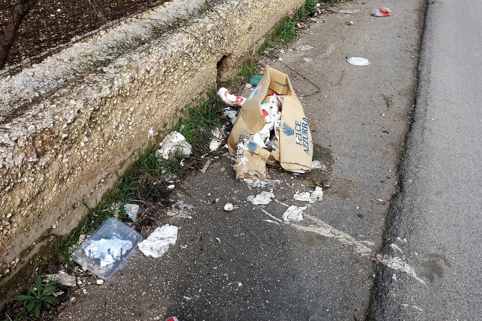 Rifiuti abbandonati lungo la provinciale per Terlizzi. <span>Foto Gianluca Battista</span>