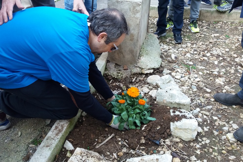 La piantina piantumata dal Sindaco. <span>Foto Gianluca Battista</span>