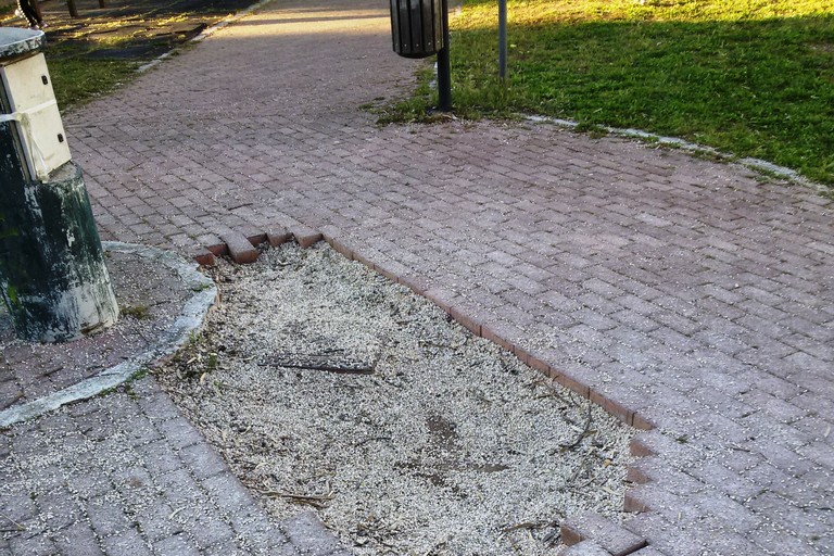 La grande buca al centro del viale