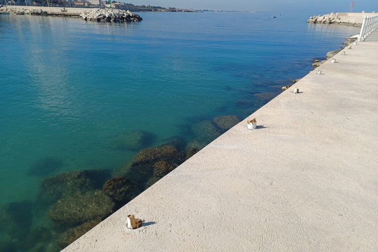 Balaustra divelta a Levante. <span>Foto Gianluca Battista</span>