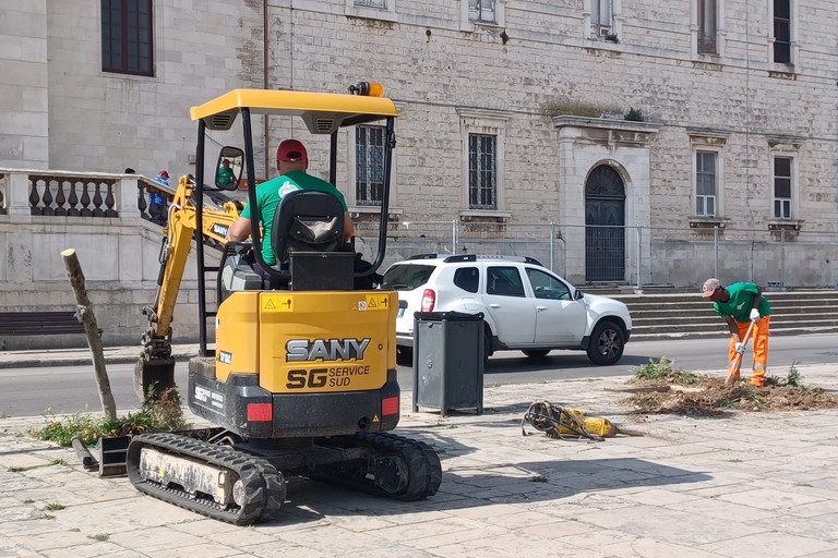 Espianto alberi in piazza V.Emanuele II