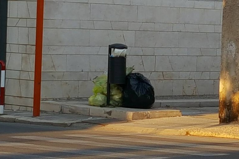 I sacchetti incriminati