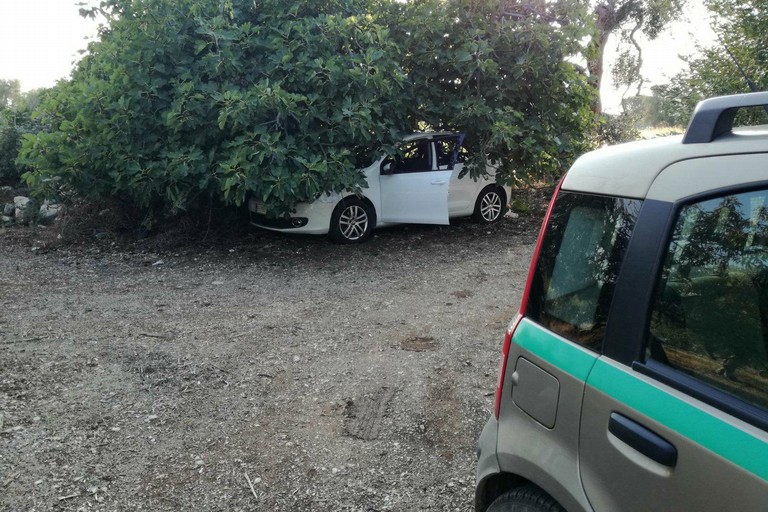 La Volkswagen Golf recuperata dalle Guardie Campestri