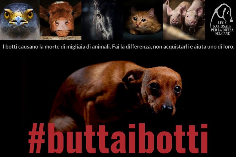 «A Capodanno buttiamo i botti»