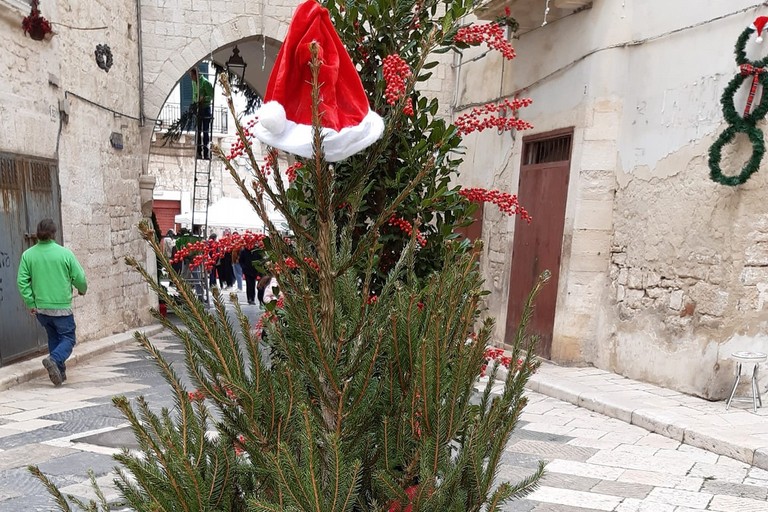 Albero di Natale