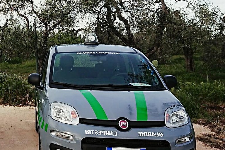 La nuova Fiat Panda delle Guardie Campestri