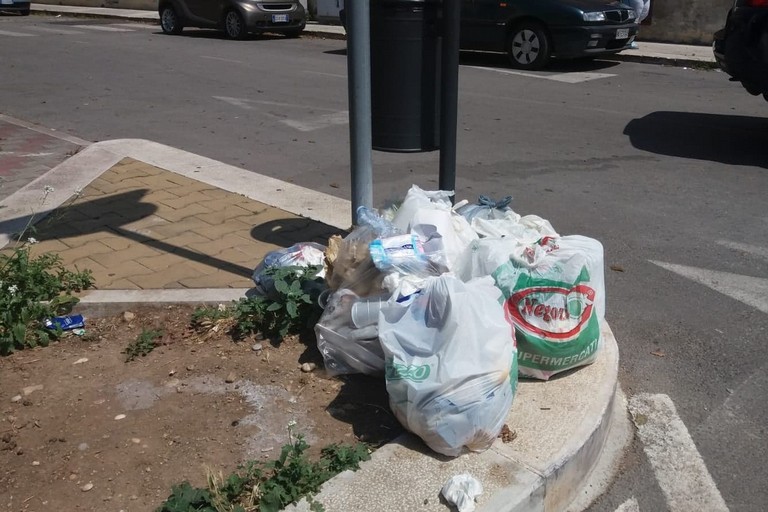 I rifiuti abbandonati in via Toselli