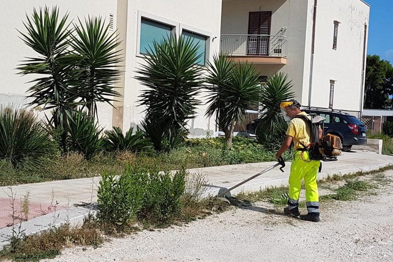 Tagliaerba in azione