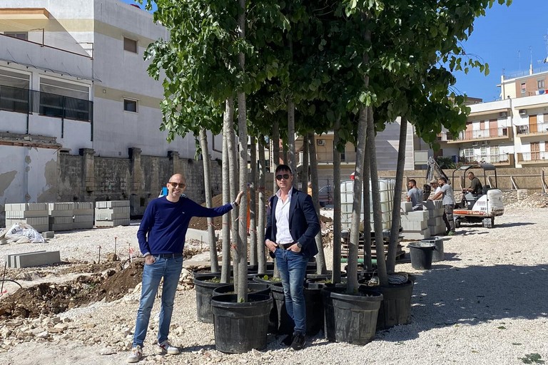 Parcheggio via Fossato - arrivate le alberature. <span>Foto Comune di Giovinazzo </span>