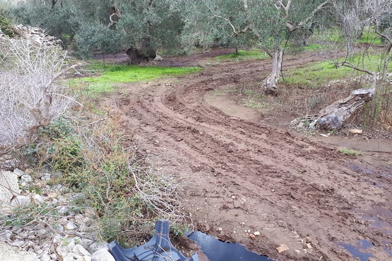 Il solco lasciato da mezzi agricoli. <span>Foto PVA </span>