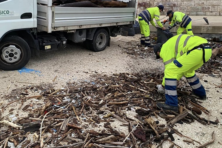 Operai rimuovono tronchi in Cala Porto